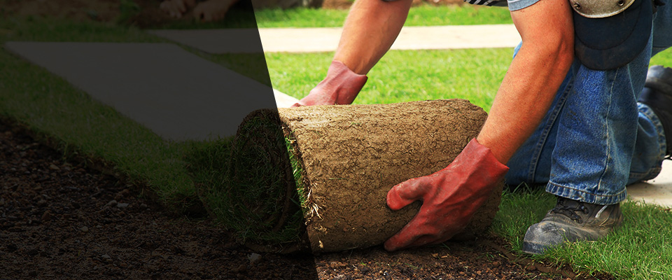 Fortville Landscapers